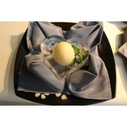 Ice Ware Sorbet Dish